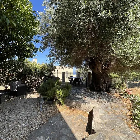 De Village Proche De La * Aregno
