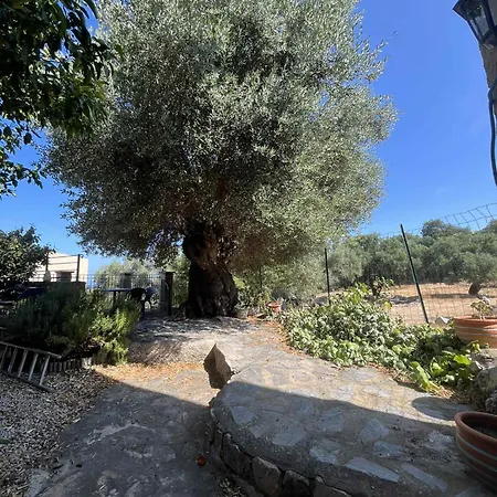 De Village Proche De La Aregno